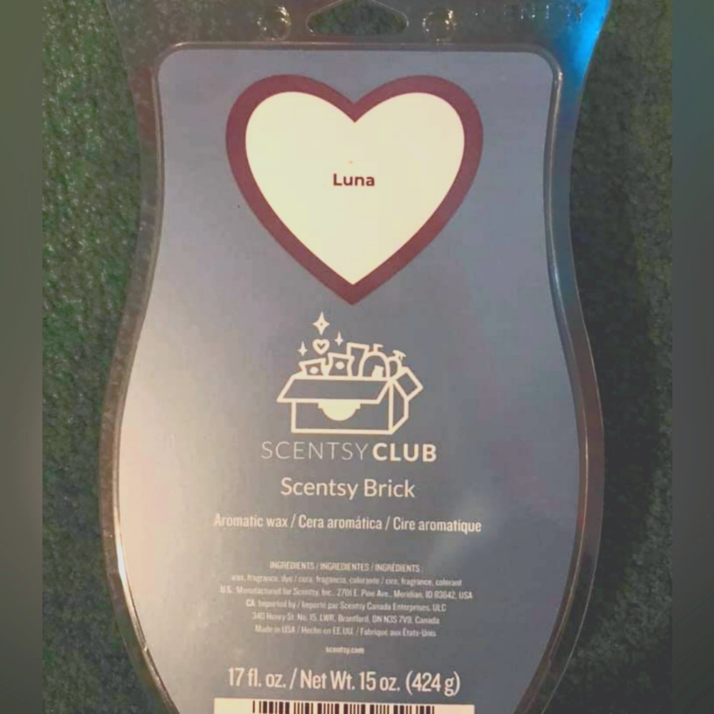 Scentsy Luna brick